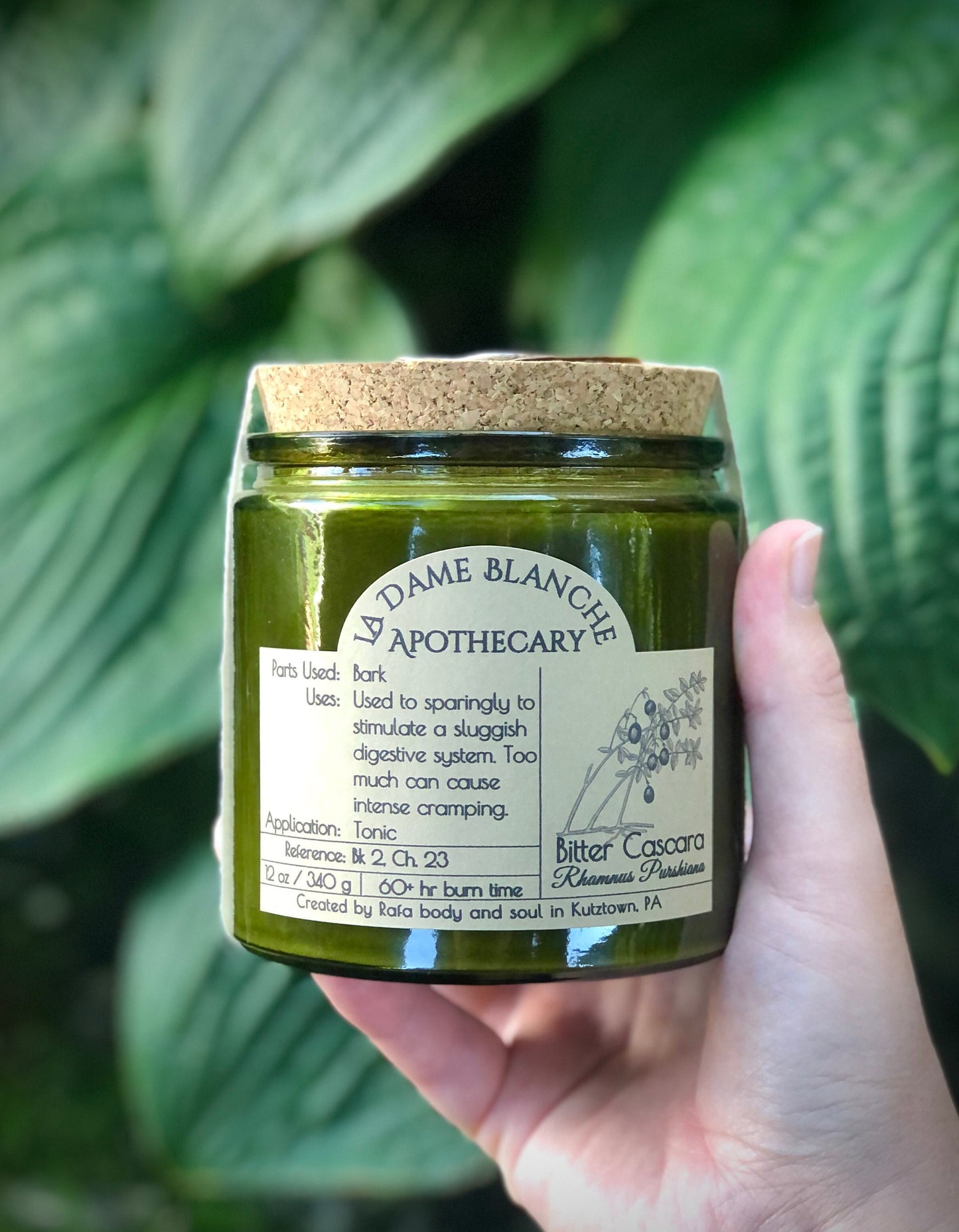 12 oz La Dame Blanche Apothecary: Bitter Cascara Candle