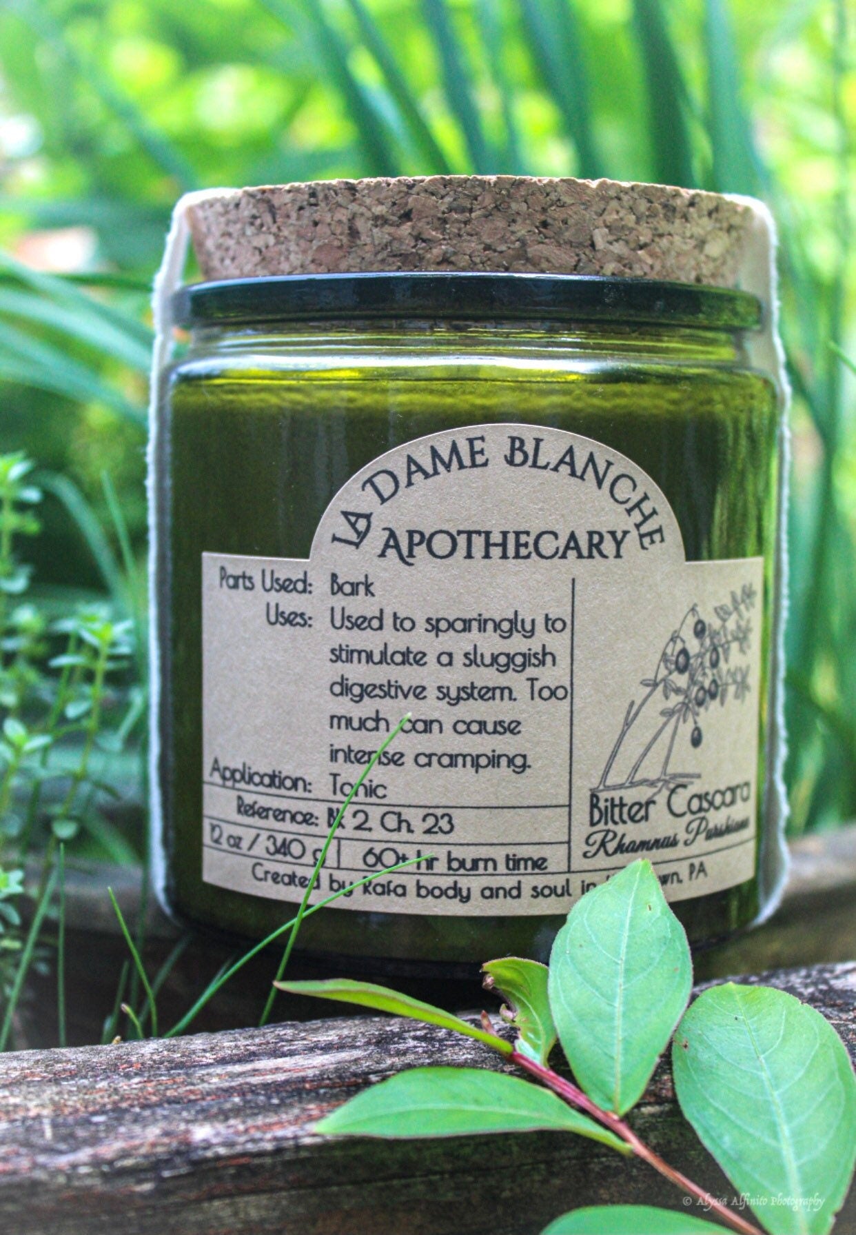 12 oz La Dame Blanche Apothecary: Bitter Cascara Candle